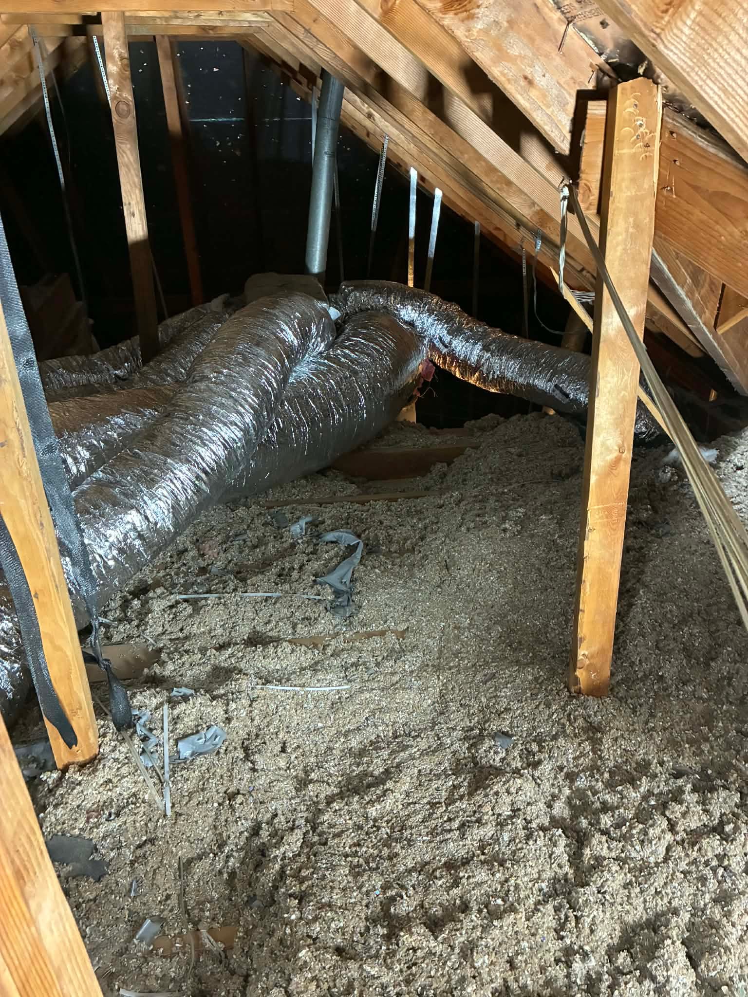 0042d419-d4a7-4724-8dda-37c13392def1