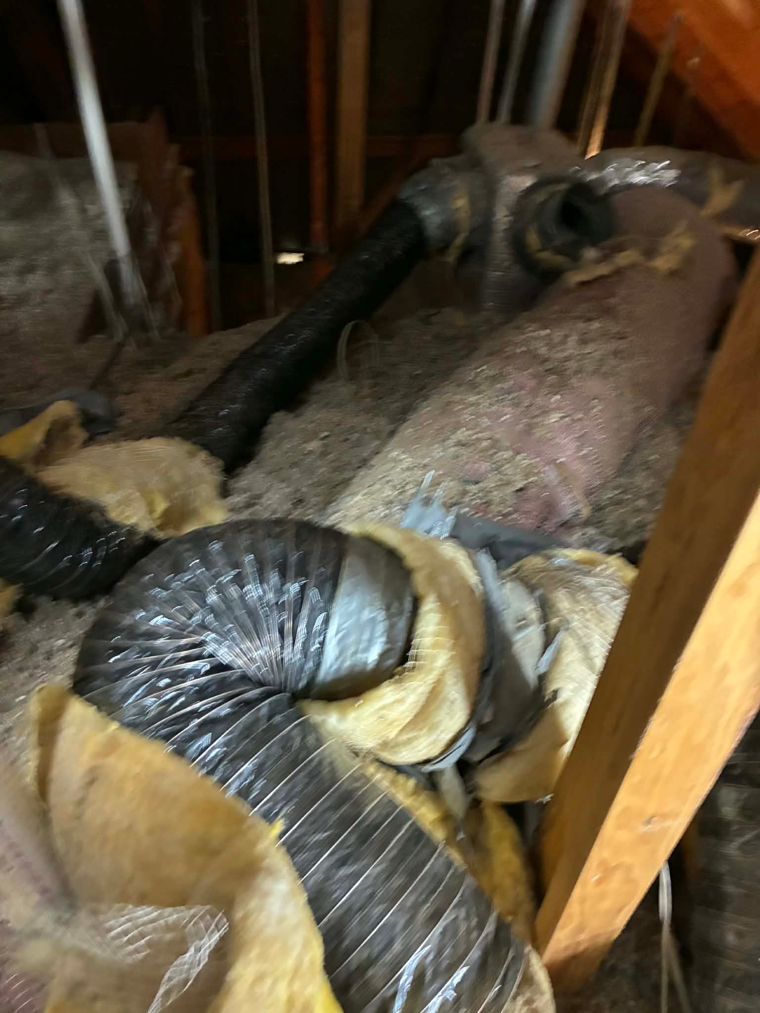 e9e674b3-df5a-48c6-937e-14a4a1a7325b