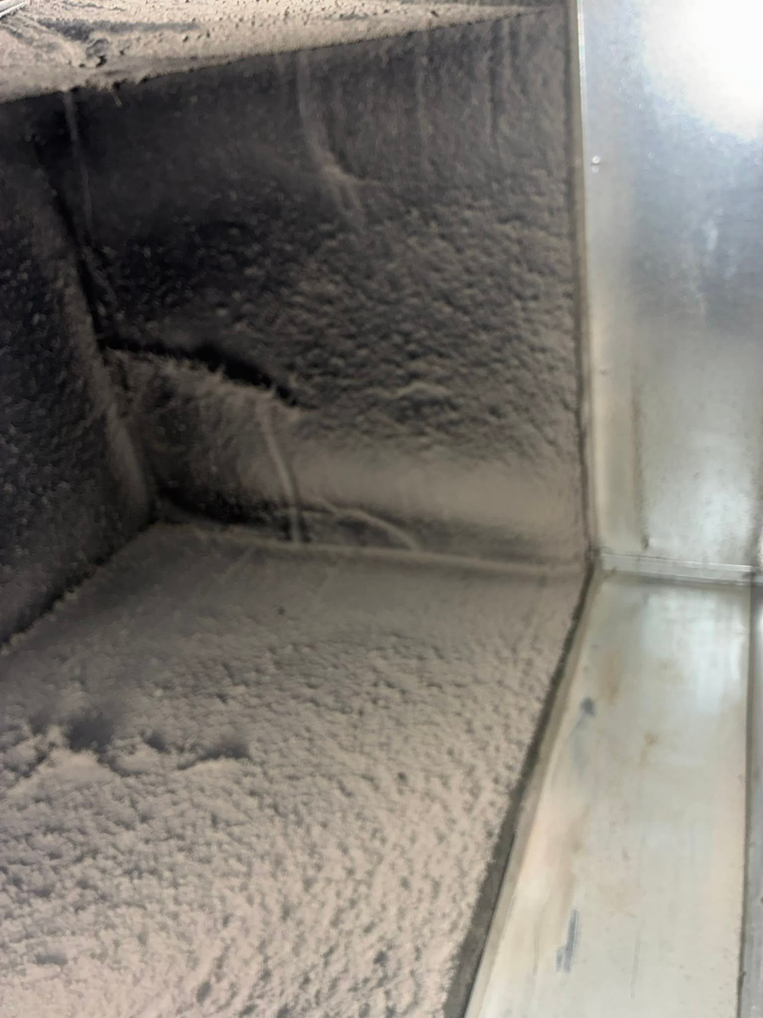 ecc777d1-dcd1-4d73-8ceb-d90dc009864d