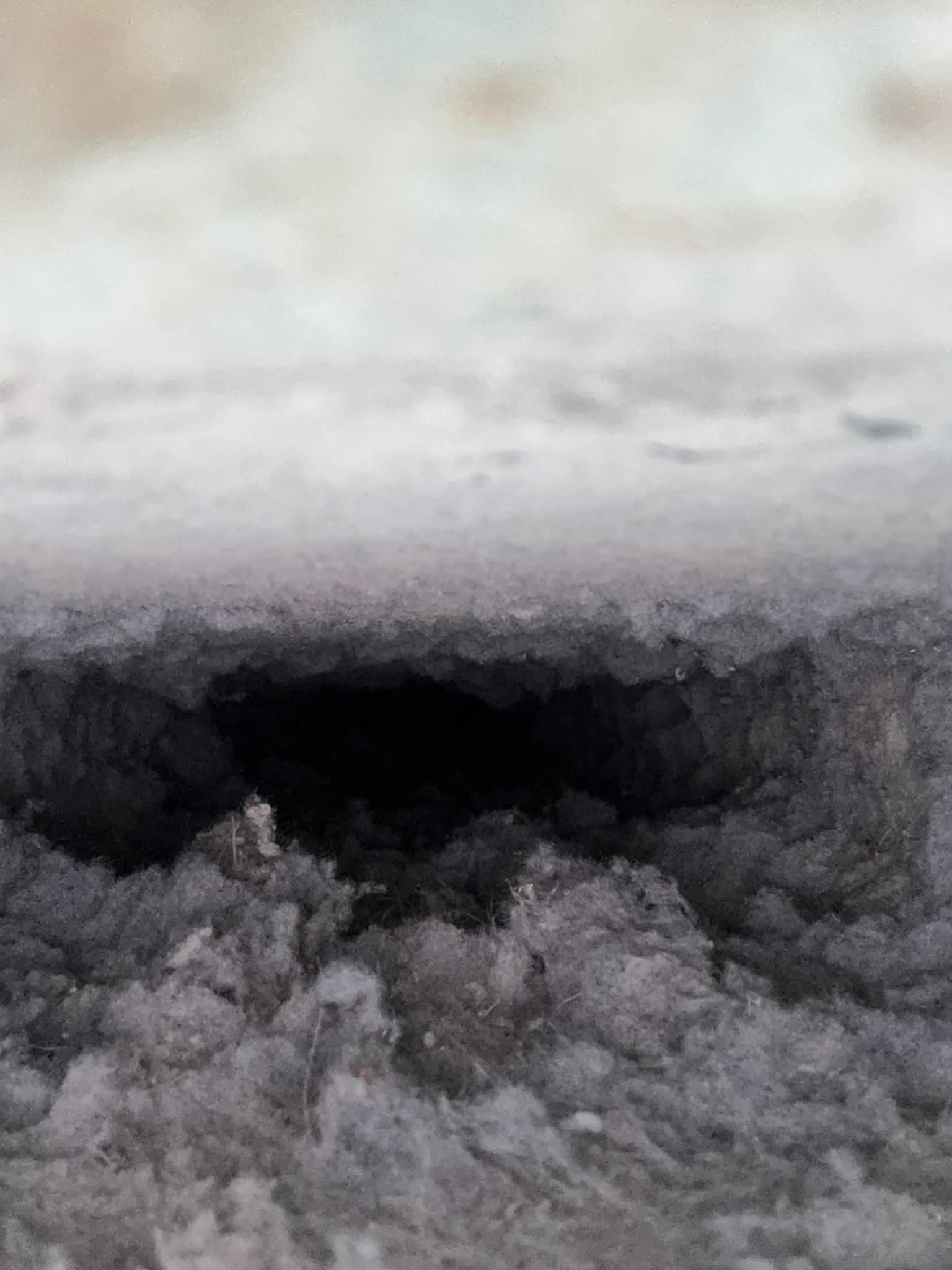 34db19ea-6c24-4587-8806-f14588ff90f8