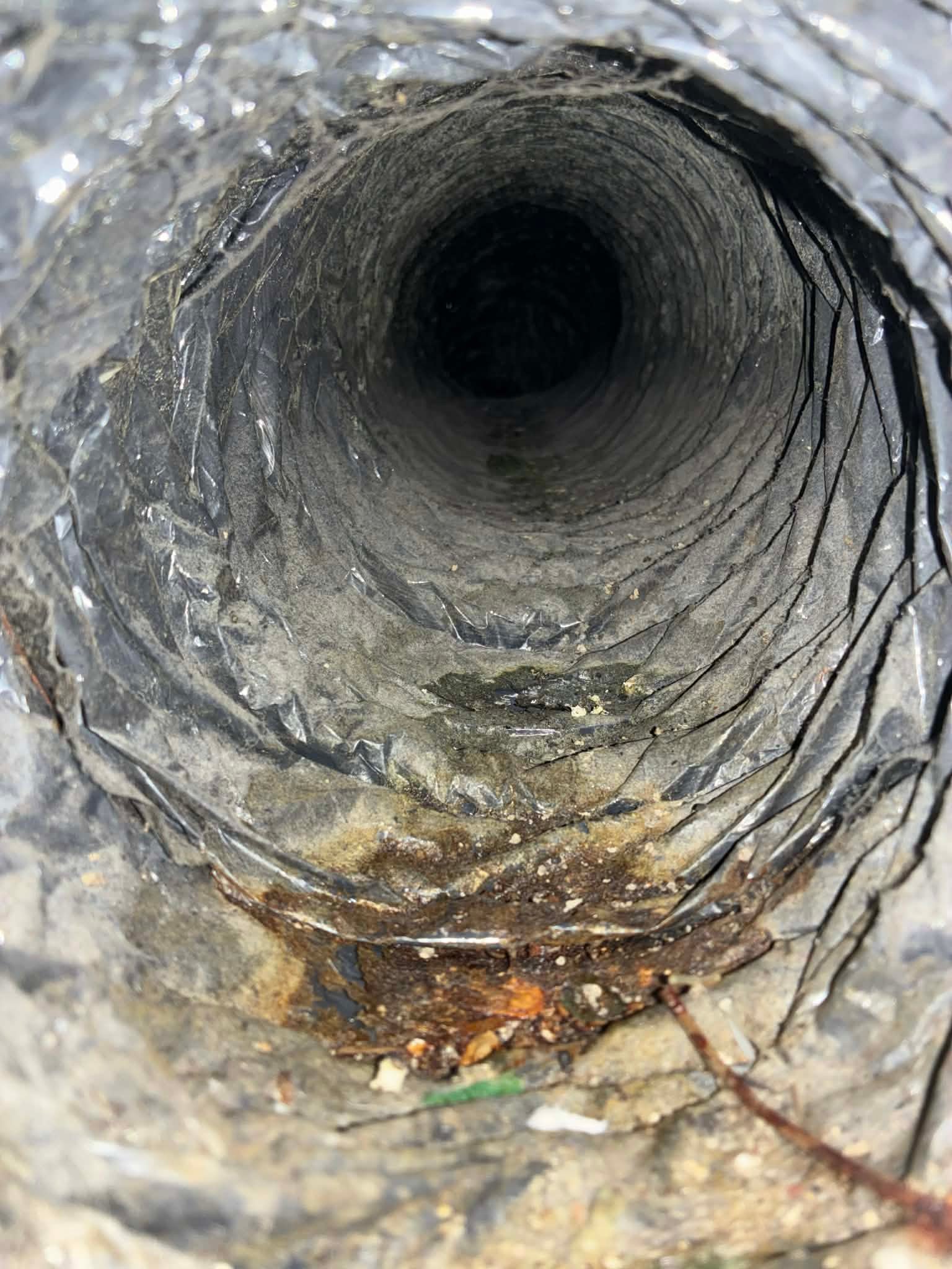 509e7c59-d2c3-4db8-bad5-c0813a60bf3b