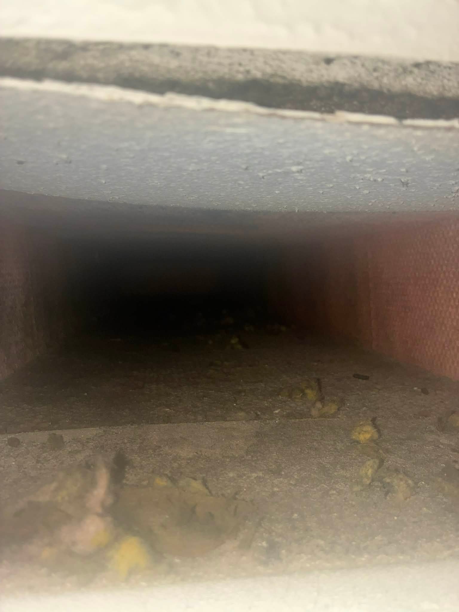 52d98562-5907-42fc-aaa1-836fd1807bbc