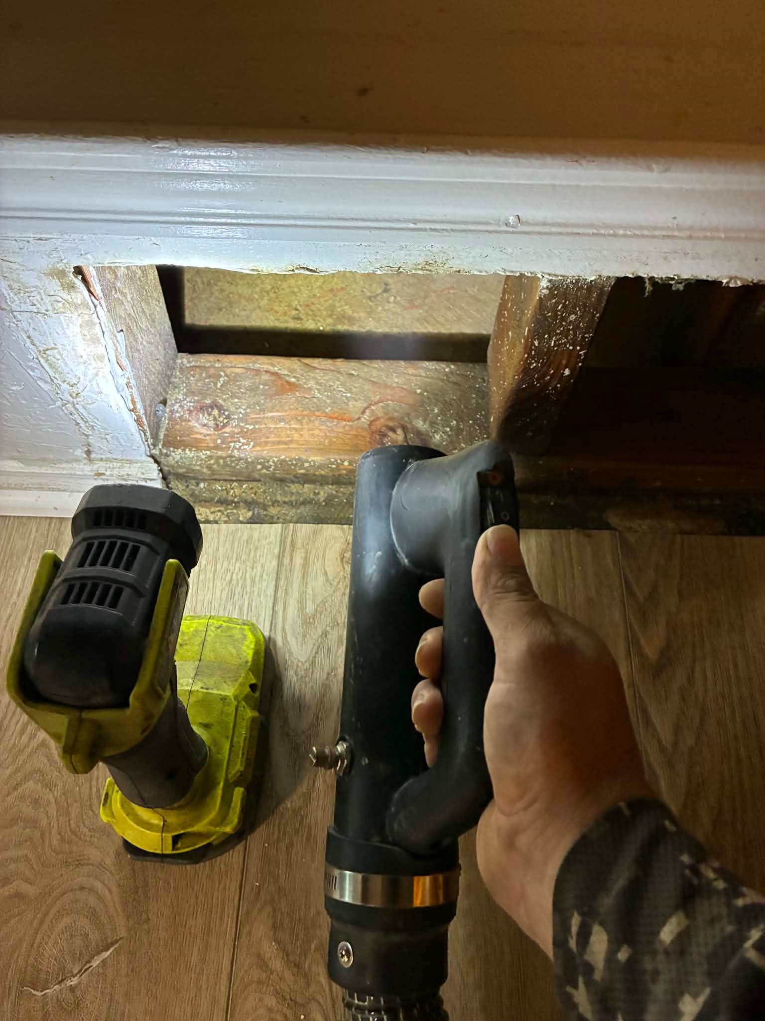 5d0f3605-7be4-4ca7-bcaf-e5a489cb878a