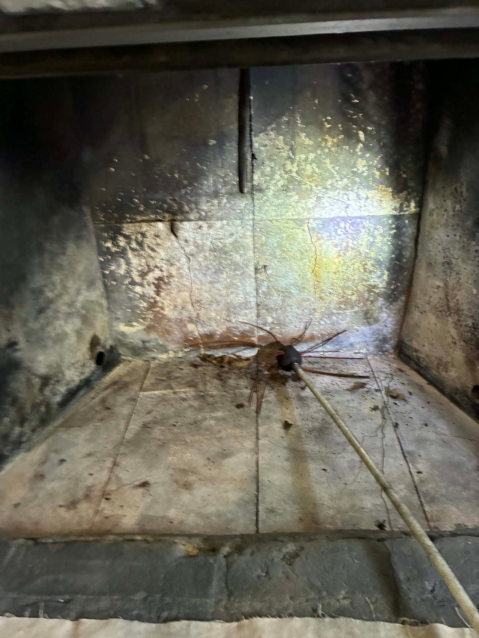 b217b758-44b6-4e78-ab8b-5a32d91fd32c