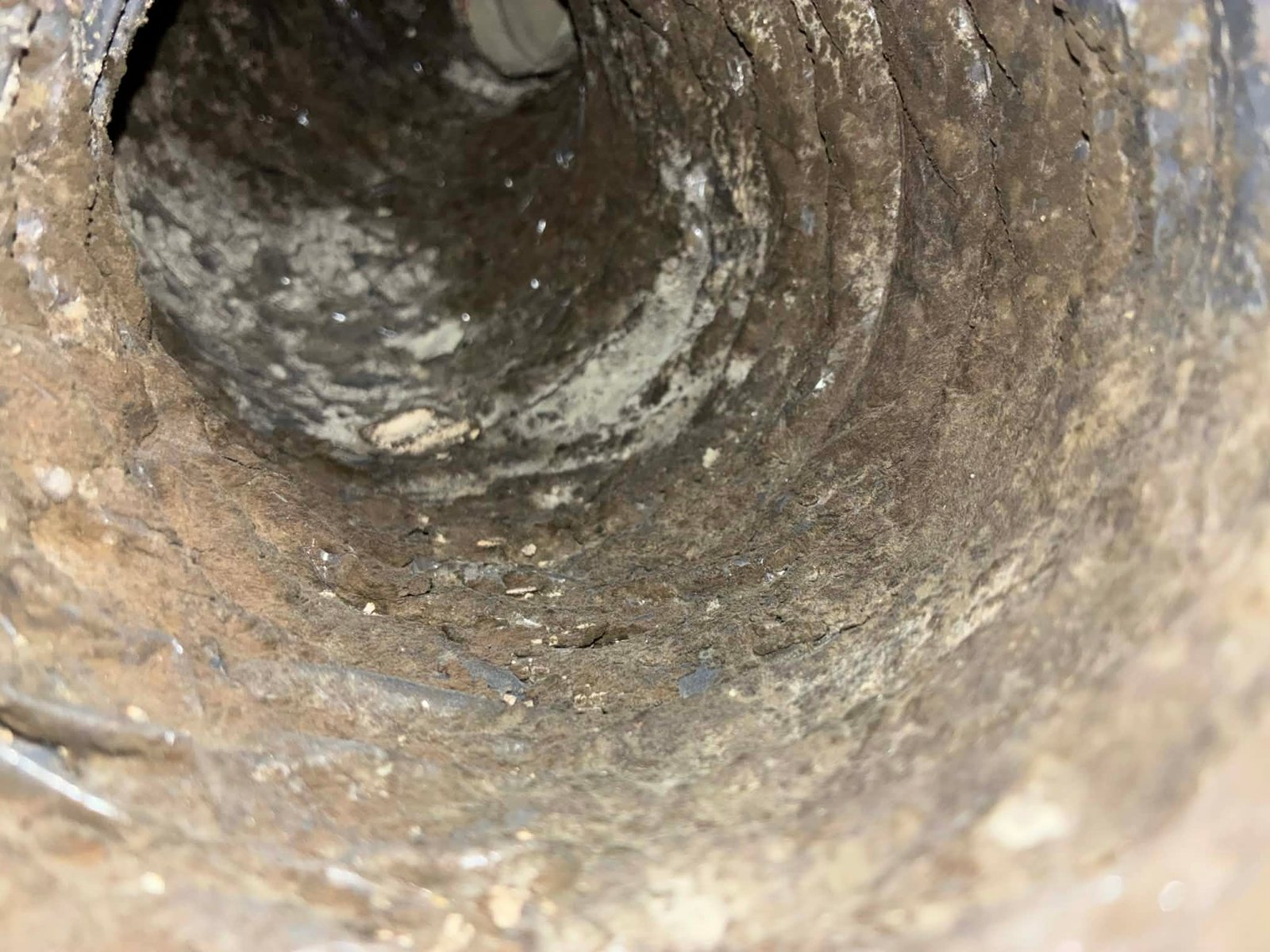 e7555580-892c-4af6-ba2a-ec3d992a24d4