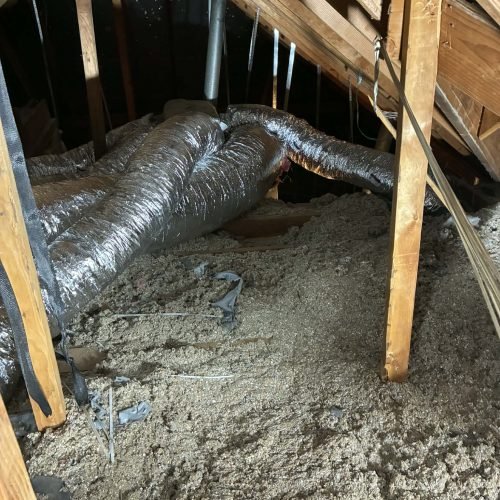 0042d419-d4a7-4724-8dda-37c13392def1