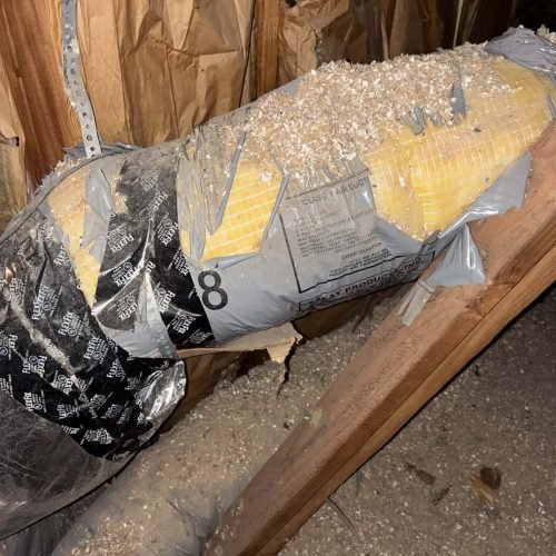 21156852-7e0d-4f7b-9897-a50bc6f51eb4