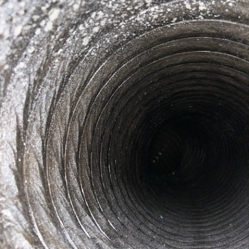 531425007_122097628886978259_8324788398559113160_n