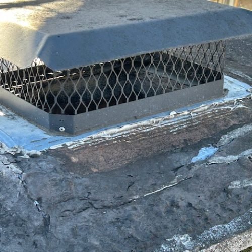 532467604_122097629558978259_2436525147659357278_n