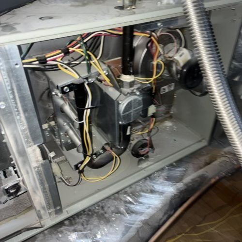 d5d82ffb-539d-4afb-bd14-954041c8e753